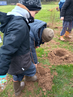 IMG_20260129_104627012_HDR 1