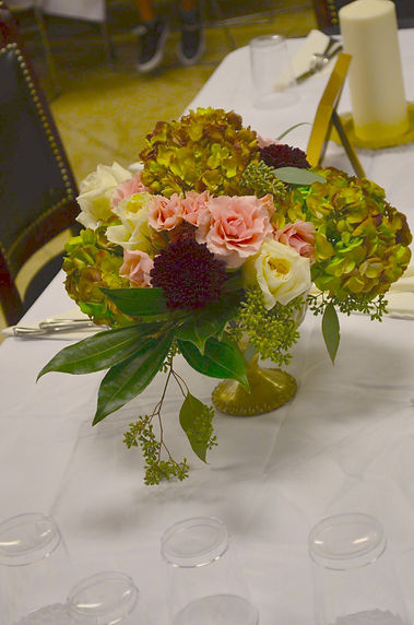 IMG_7335 copy.jpg