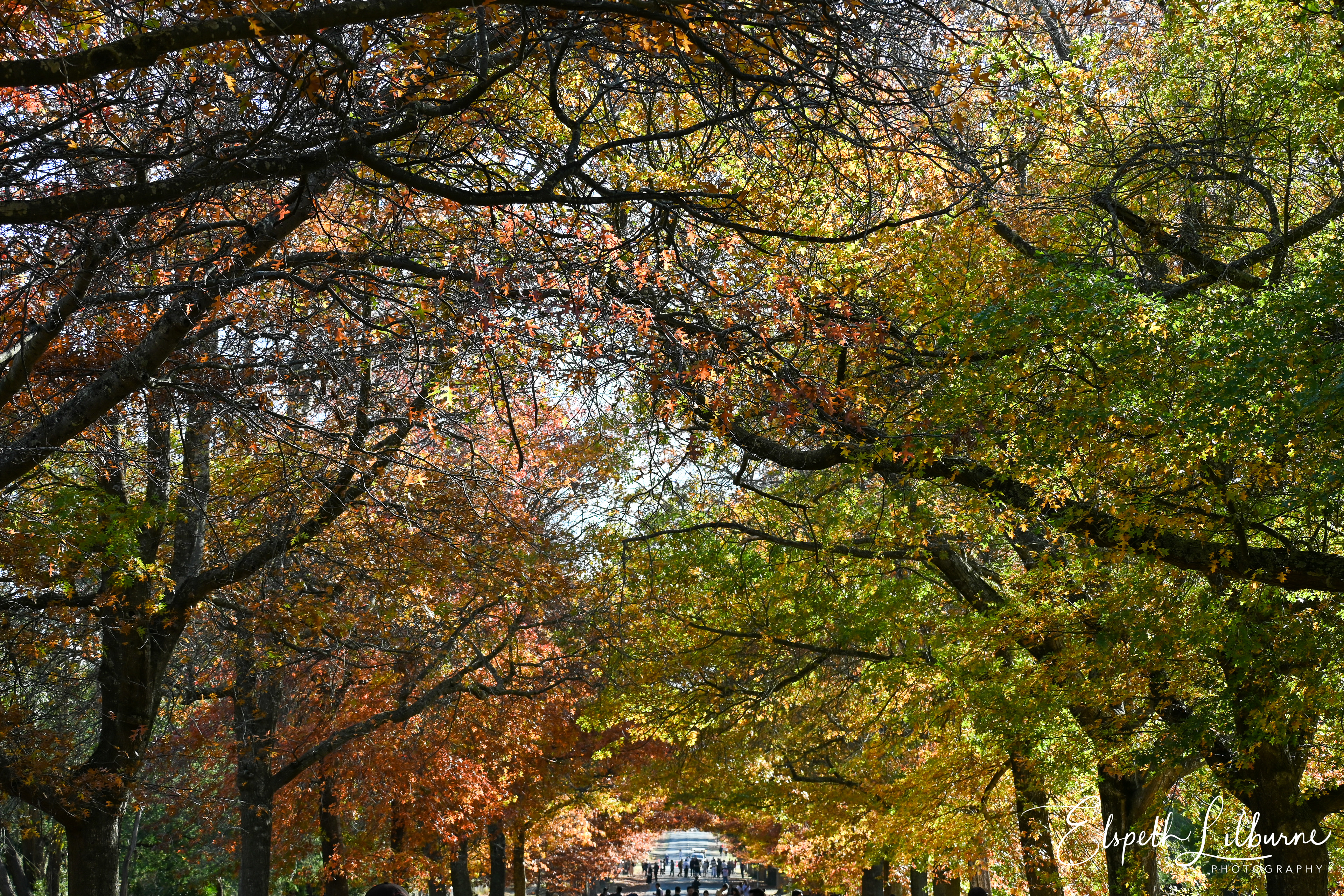 mount-macedon-2023