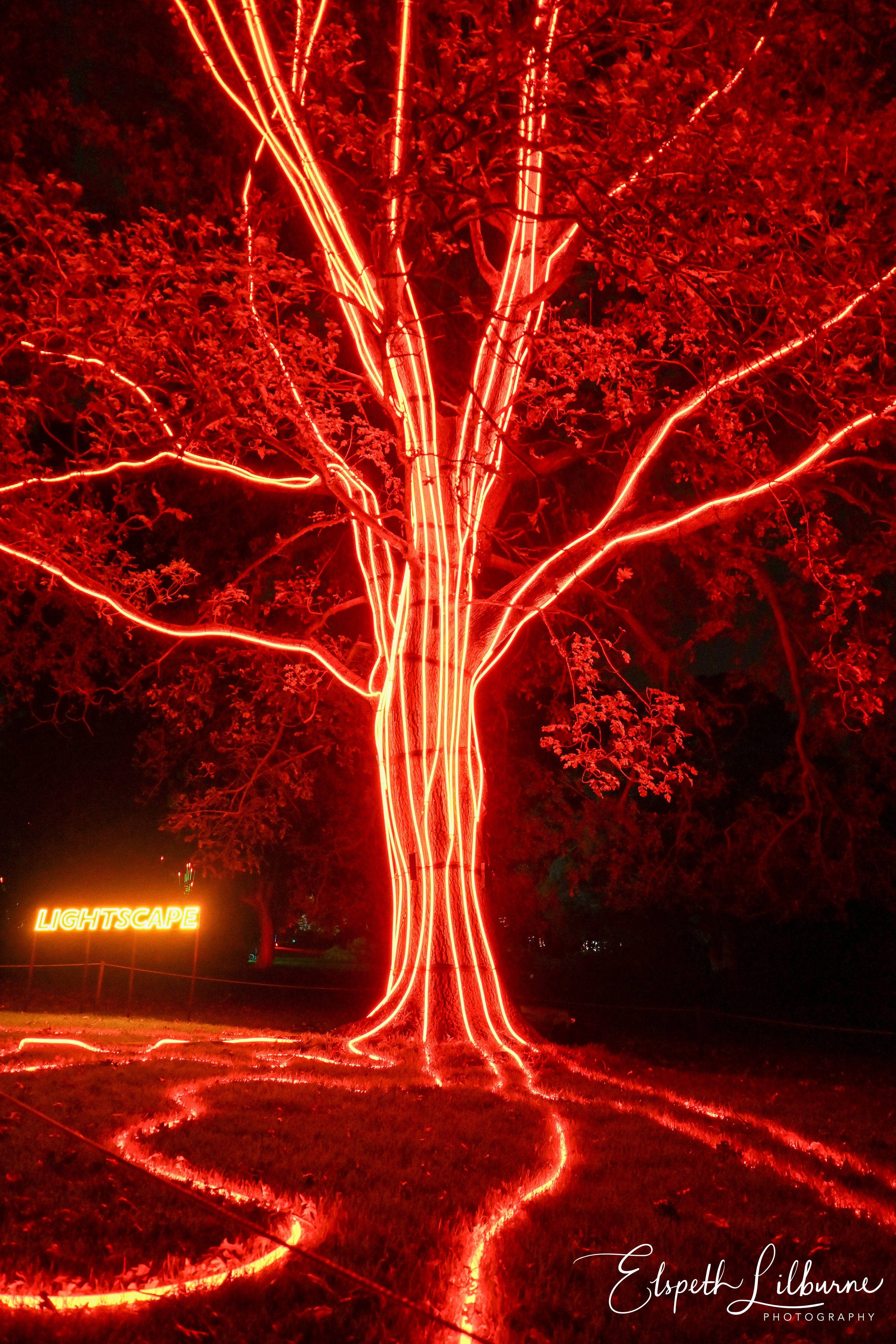 lightscape-2023