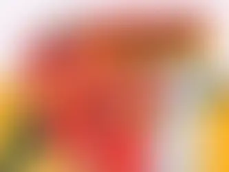 Black Stars Set to Shine: Ghana Prepares for FIFA World Cup Qualifiers Against Madagascar and Comoro