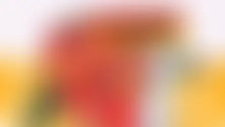 Black Stars Set to Shine: Ghana Prepares for FIFA World Cup Qualifiers Against Madagascar and Comoro