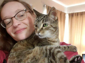 How to Choose a Professional Pet Sitter or a solo pet sitter in Arvada