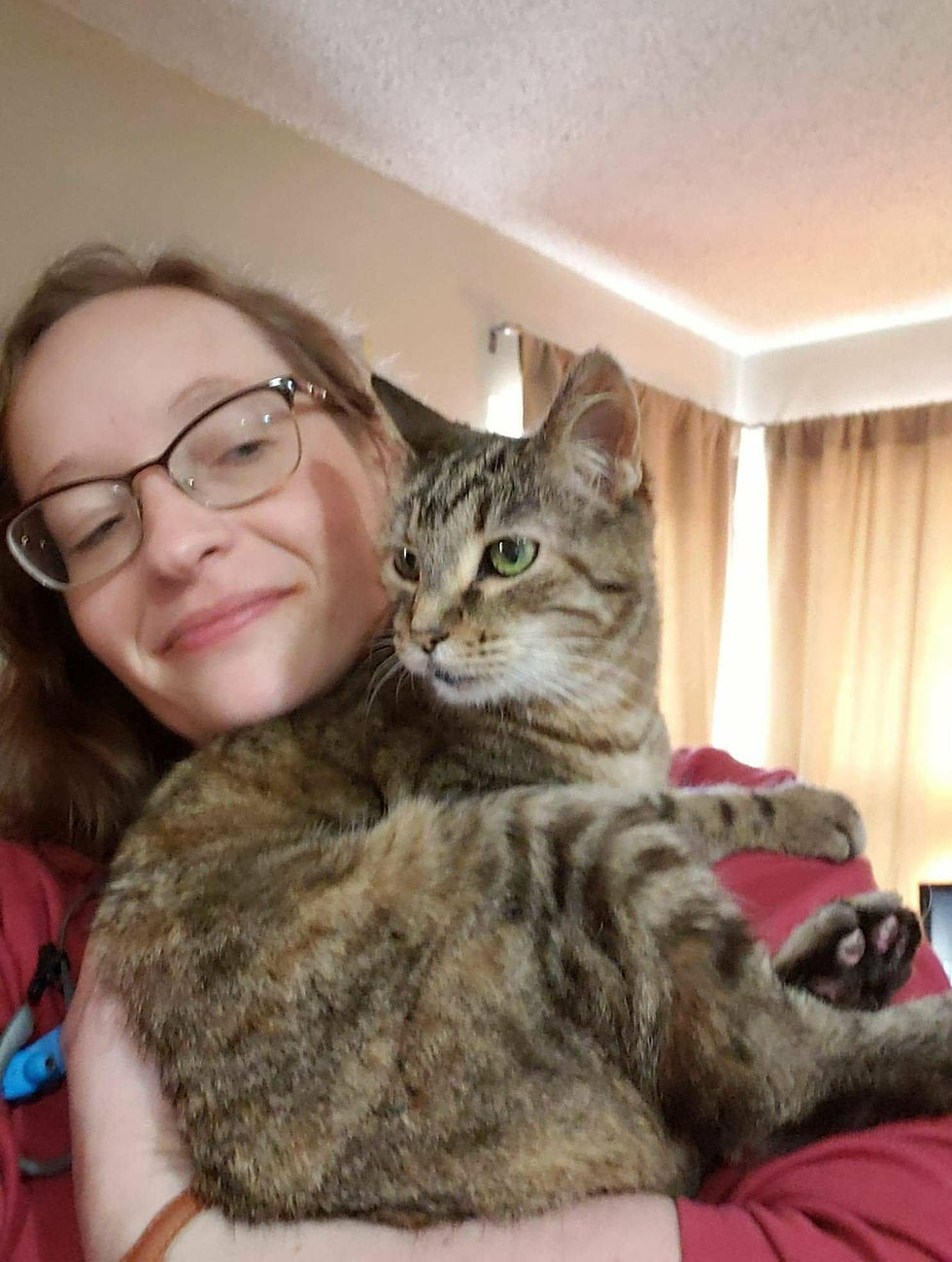 How to Choose a Professional Pet Sitter or a solo pet sitter in Arvada