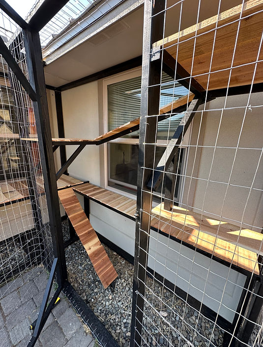 Catio