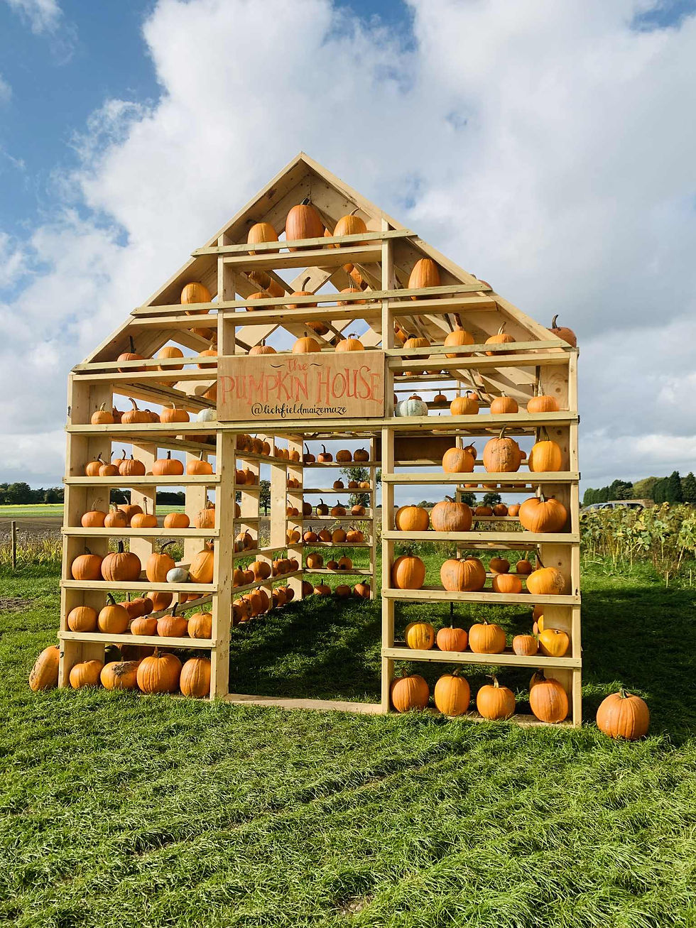 Lichfield Maize Maze Pumpkin Picking West Midlands