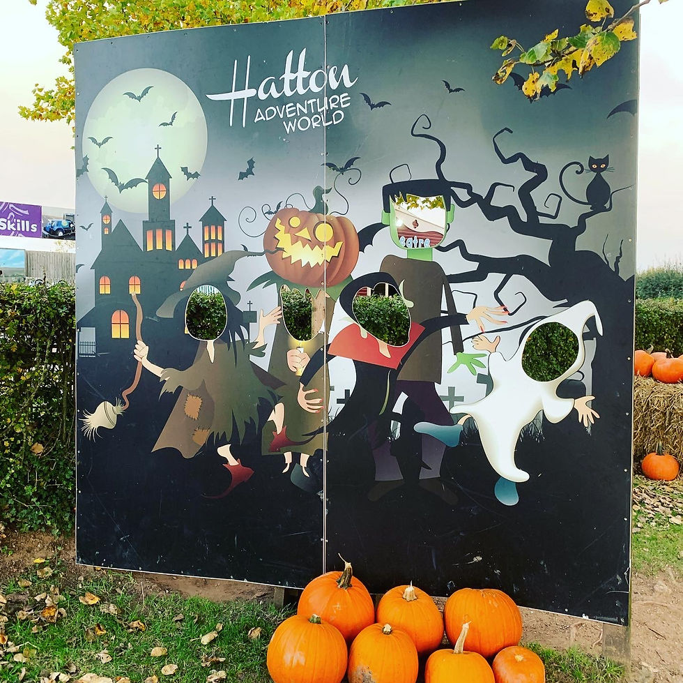 Hatton pumpkin picking - Hatton Adventure World Halloween Spooktacular