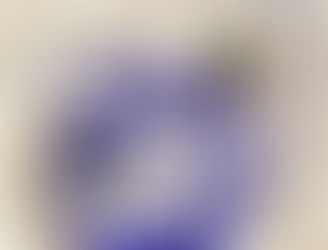 Oriolus crassirostris