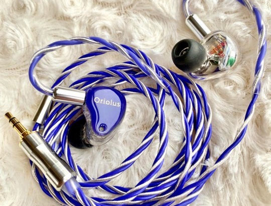 Oriolus crassirostris