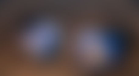 HYLA “ Hallowellii” & “ arbirea “ 출품