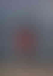000819390015