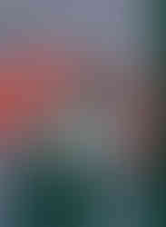 000883680010