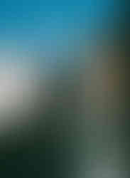 001386880002