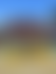 Northern Region Girls’ Rugby Kicks Off the 2025 Season in Style