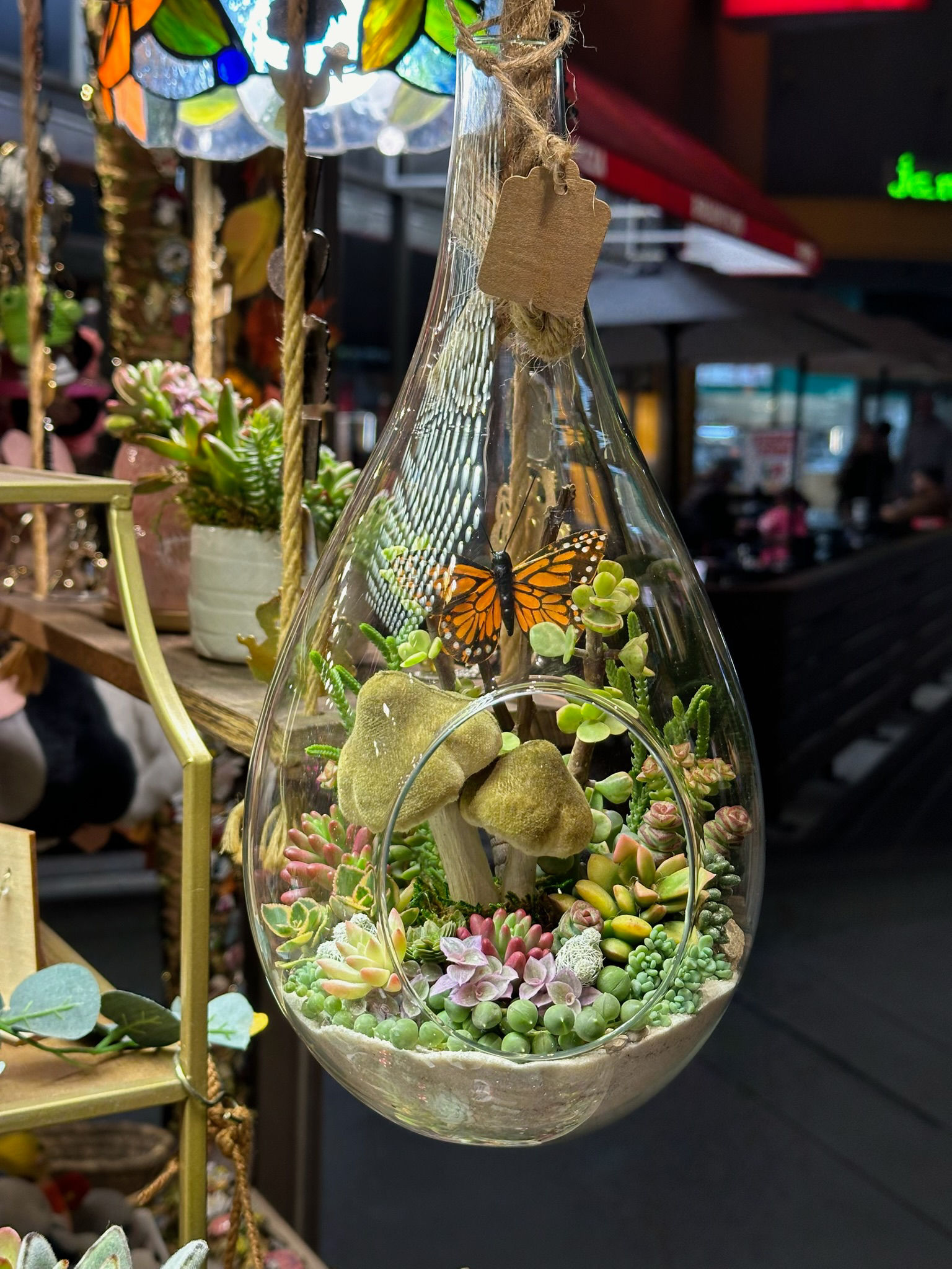 11” Large Hanging Succulent Terrarium