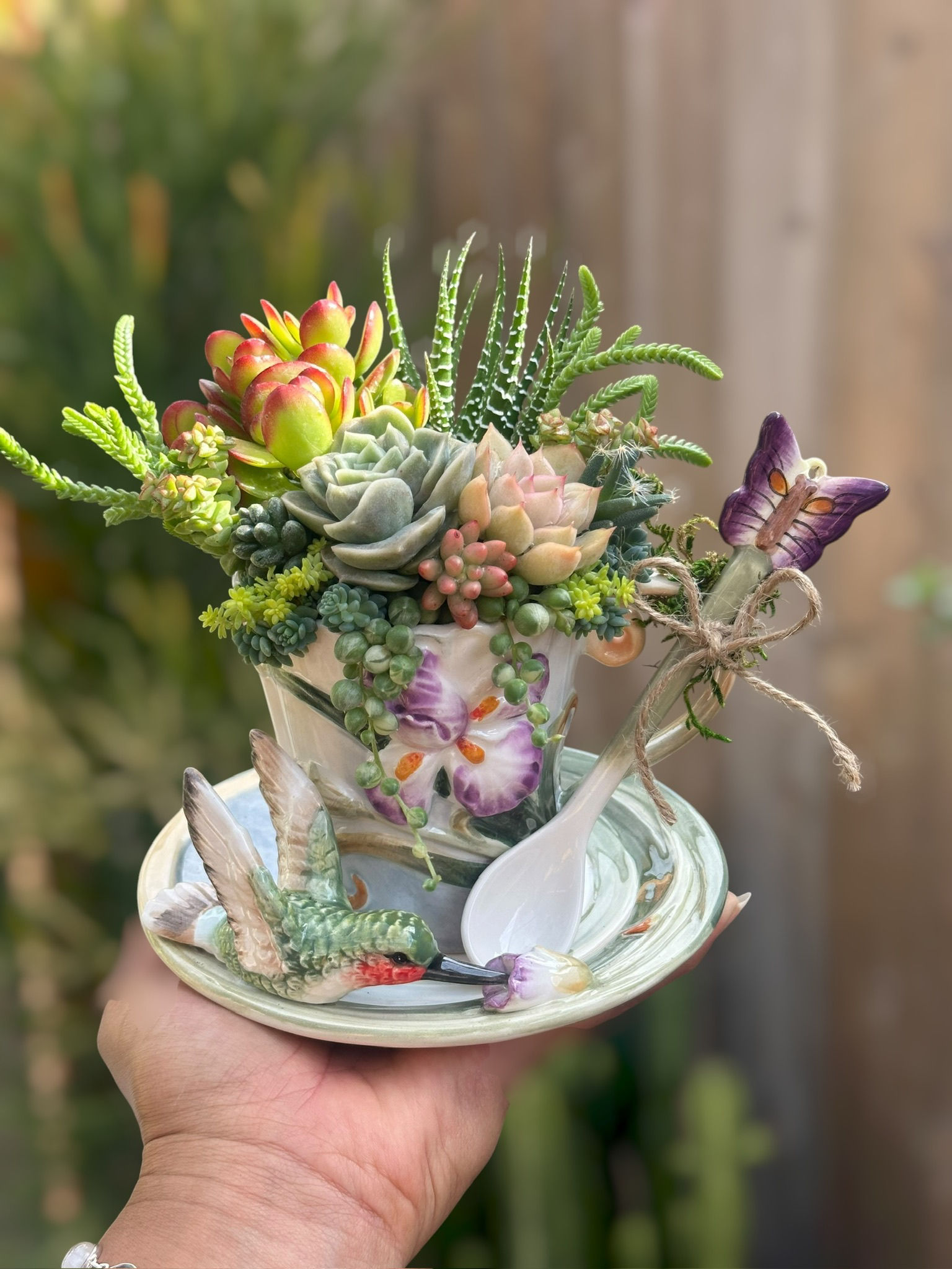 Hummingbird Teacup Succulent Design