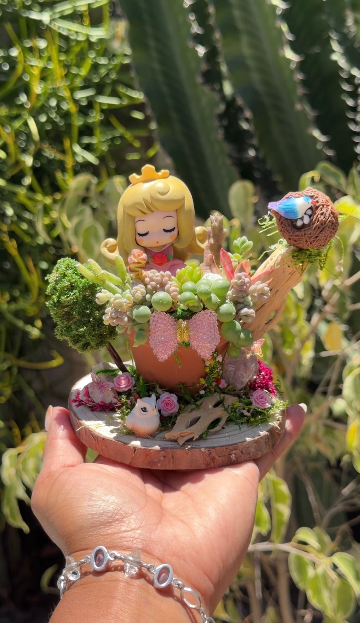 Aurora Mini Garden