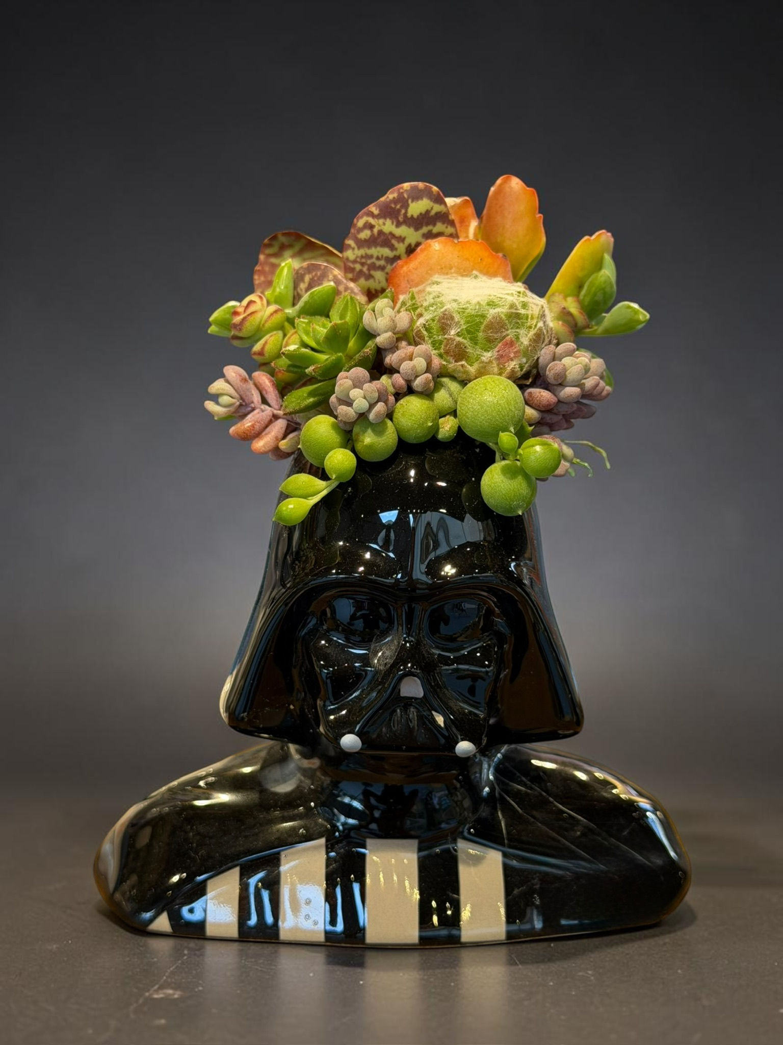 Darth Vader A Succulent Design