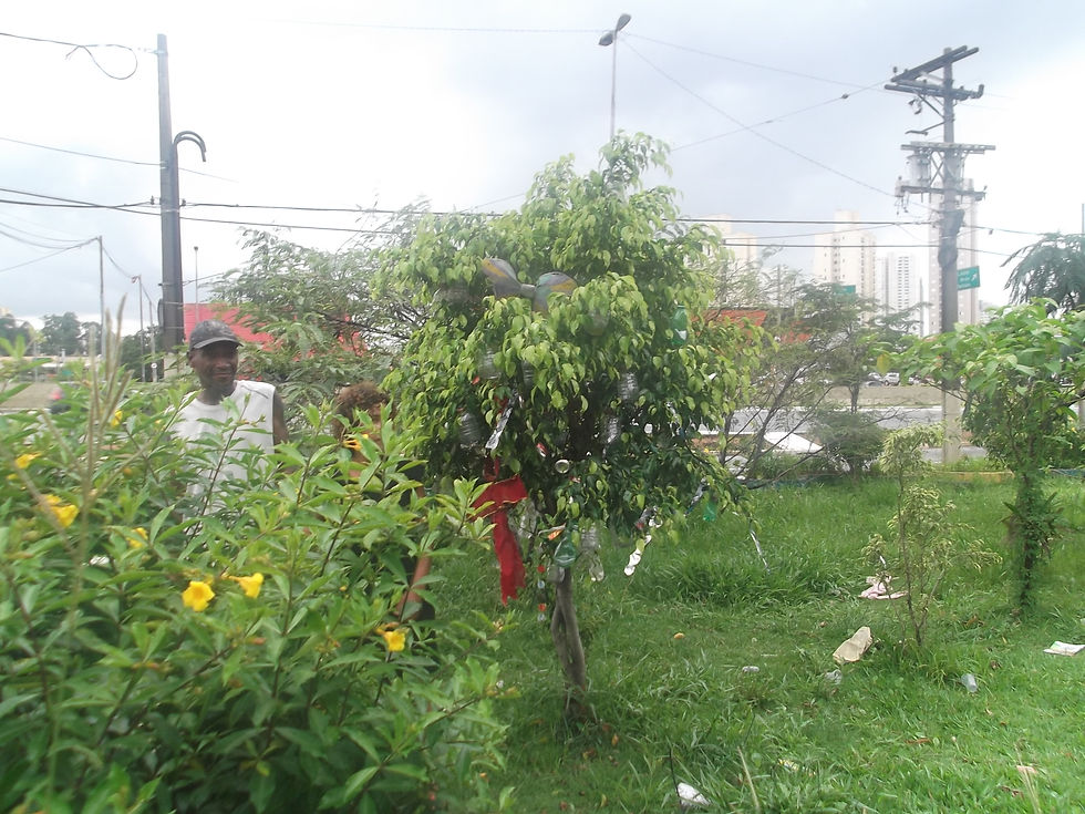 DSCF4673.JPG