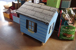 PA041347.JPG