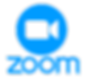 Zoom Logo