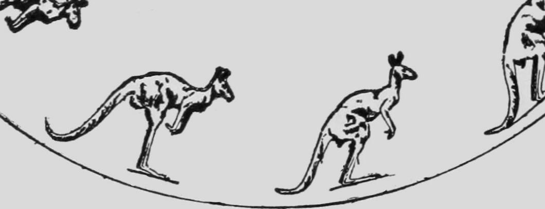 Descriptive_Zoopraxography_Kangaroo_Jumping_Animated_13.gif