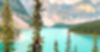 Megha cover.jpg