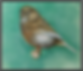 consort_paint_frame