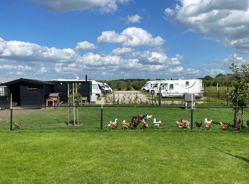 Camperplaats de Kersenpit