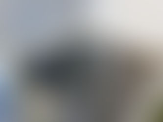 What Is the Best Cover for Basement Windows?