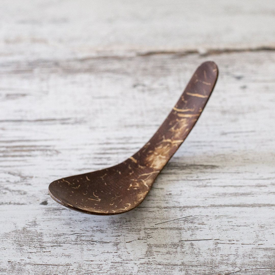 Coconut Shell Dessert Spoon 