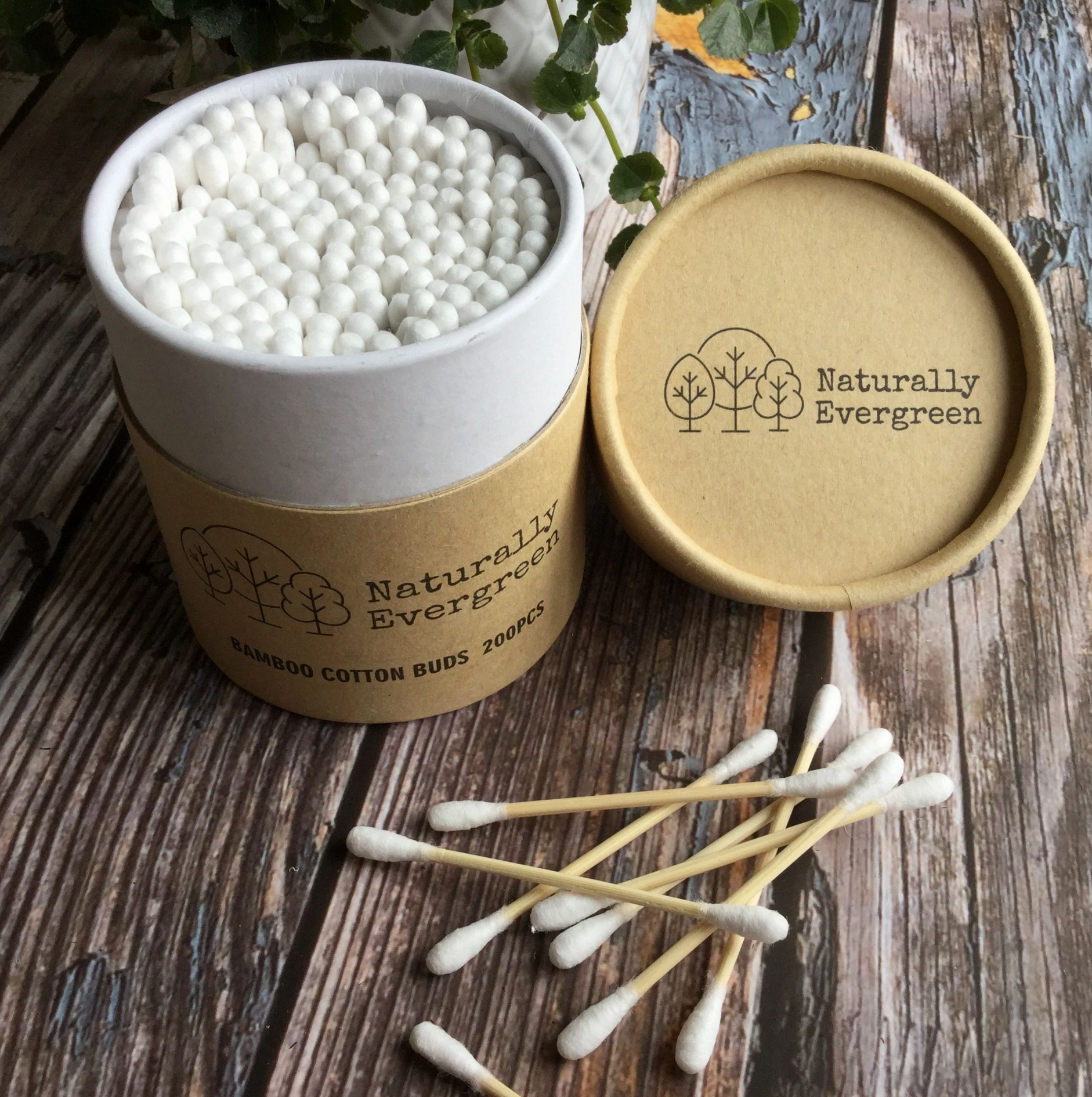 Bamboo Cotton Buds