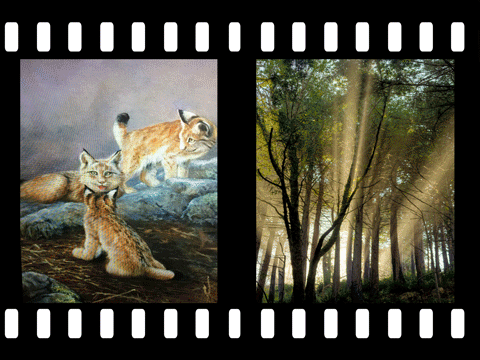 Jan-2020-artists-Animation-3.gif