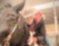 femme a cheval portant un Wild Casq
