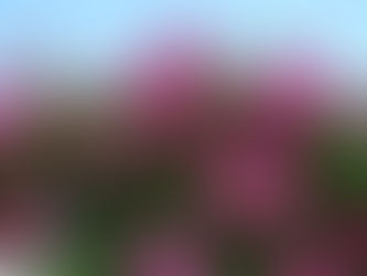 Rambling into Winter