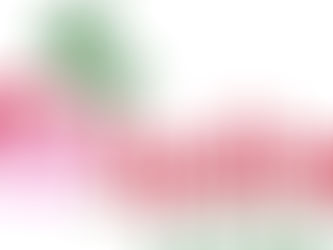 Welcome to Apuldram Roses – Bare Root Season Is Here