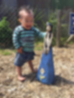 image3.jpeg