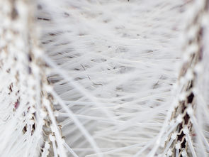 Free Your Mind: Public Social Justice Art Project 