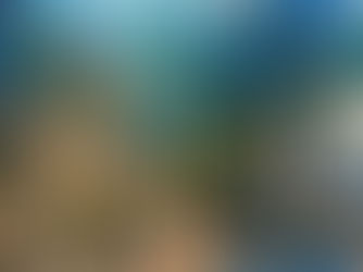 PALIMPSEST, A Solo Photographic Exhibition // 6:00pm-10:00pm