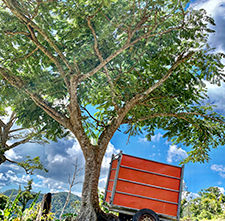 Sept. 2019 MAJESTIC THEATRE Condominium presents: “Vehicular”, photography by Eric Levin.