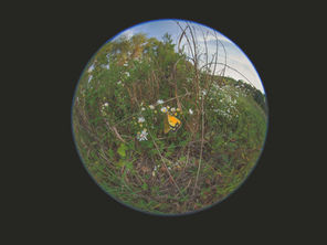 The Art Project // 6pm-8pm