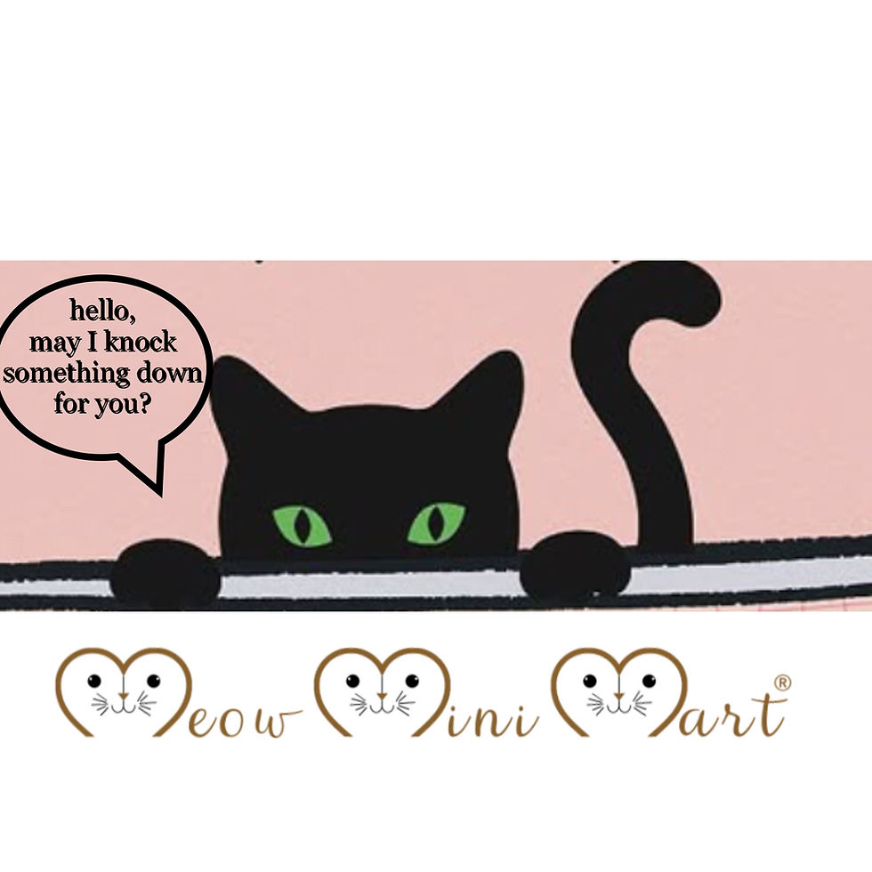 Pop-Up Kitty Gallery // 11:30am-6:00pm