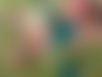 The Art Project at Dvora 175 2nd // 6:00pm-8:00pm