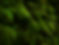 iStock-823715580.jpg