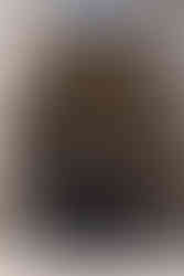 Antwerp gezilecek yerler