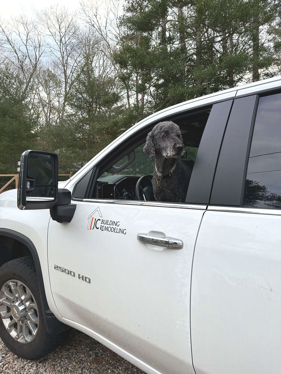JC Building and Remodeling Dog in Truck