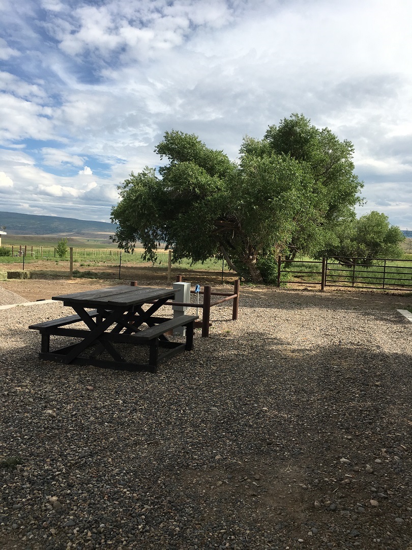 Bed Bath and Barn Meeker Bar 7 Bed Bath and Barn