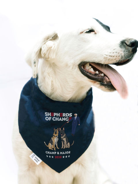 Alexa Effie Design Co creative design studio, web design, graphic design, branding, packaging design, social media templates, and brand collateral