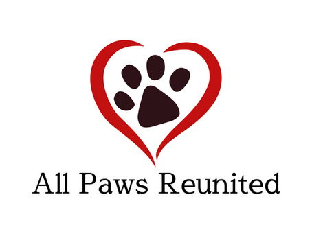 What to Do Immediately When Your Pet Goes Missing