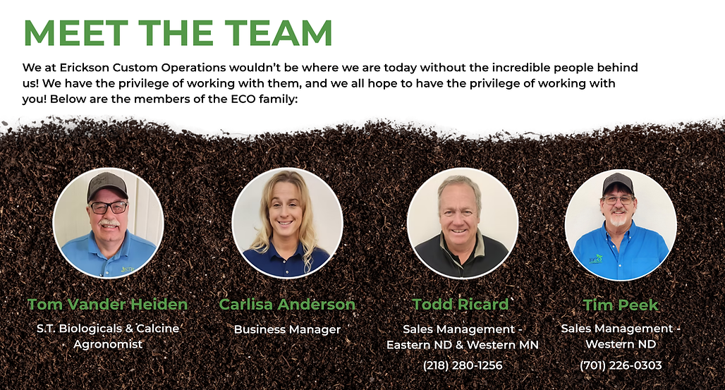 Meet The Team (1).png